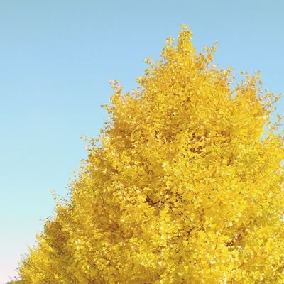 晦さんのプロフィール画像