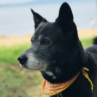 小さな家の大きな夢 (@kt44life) 's Twitter Profile Photo