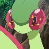 teee🐛 (@teaaacupppp) 's Twitter Profile