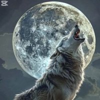 Sahm (@ro7enana) 's Twitter Profile
