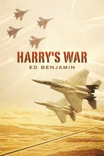 Harry Miles, medically retired USAF fighter pilot, owner, Solutions, with private detective services. Read Harry's War by Ed Benjamin at all eBooksellers.
