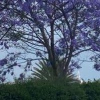 🇸🇦 ابوعبدالله 🇸🇦 MBS (@abuabdullah323) 's Twitter Profile Photo 🇸🇦 ابوعبدالله 🇸🇦 MBS (@abuabdullah323) 's Twitter Profile Photo