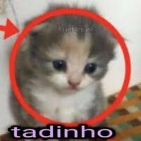 Wendel (@bulitiz) 's Twitter Profile