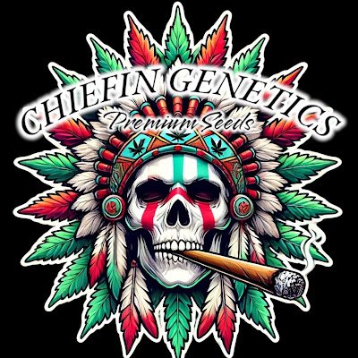 Founder/CEO of CHIEFIN GENETICS™
Canna cultivar, Craft Breeder of Photos and Autos.