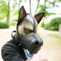 Rutt Pup ➡️ Animalz, FolsomEU, Snax (@ruttpup) 's Twitter Profile