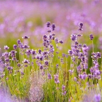 お金を引き寄せる秘訣や副業情報など共有したりしています。自身がお金に苦労した経験からお金に困窮している人を救いたいと思い、少額ですが10万円プレゼント企画をしております♫ なくなり次第終了▶ https://t.co/RE7v9Gt7EF