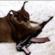 martinkana4's profile picture. 