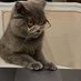 Dharampal (@dharampalnotcat) Twitter profile photo Dharampal (@dharampalnotcat) Twitter profile photo