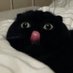 ffy (@ffyffya) Twitter profile photo ffy (@ffyffya) Twitter profile photo