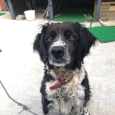 tMrkebOwtv57145's profile picture. ふうたろうです。アカウントが凍結したためこちらのアカウントに変更しました無言フォローOKですこちらも勝手にフォローすみません🐶🙇