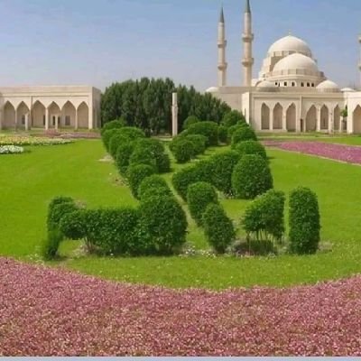 Goriola_Heir's profile picture. IBILE