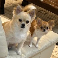 ใใใ๐๐๐ถ (@frl5ezdvhf83515) 's Twitter Profile