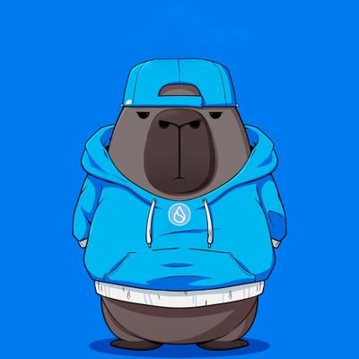 CapyBridge's profile picture. Introducing the first deflationary utility meme on #Sui, launching with a fully operational product. https://t.co/PEh7LrA0d7