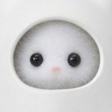 이파さんのプロフィール画像