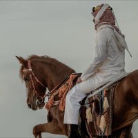 عادل الميموني (@isffss) 's Twitter Profile Photo عادل الميموني (@isffss) 's Twitter Profile Photo