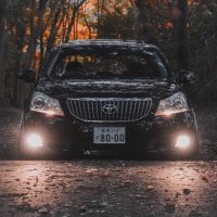 まこと (@makotozerocrown) 's Twitter Profile Photo