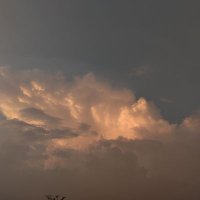 Kal (@lockygers) 's Twitter Profile