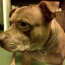 Dean - @DeanSaunders4 - Twitter