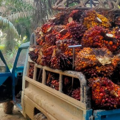 PrincesClarice's profile picture. 