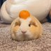 strongest (@nonsense404myf) Twitter profile photo strongest (@nonsense404myf) Twitter profile photo