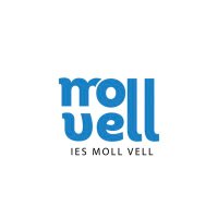 @IESMollVell (@iesmollvell) 's Twitter Profile