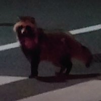 ういろう (@ahr2t) Twitter profile photo
