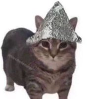 Deplorable Garbage Kerry (@gossettk) 's Twitter Profile