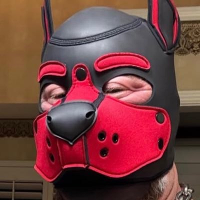 Thiagoo_hotxxx1's profile picture. 