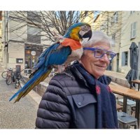 Dr Jean Pierre Laroche #vacciné 6.0 (@echoraljpangio) 's Twitter Profile Photo Dr Jean Pierre Laroche #vacciné 6.0 (@echoraljpangio) 's Twitter Profile Photo