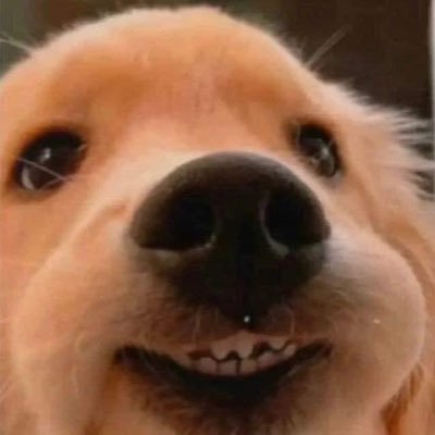 rarraabanana's profile picture. 23