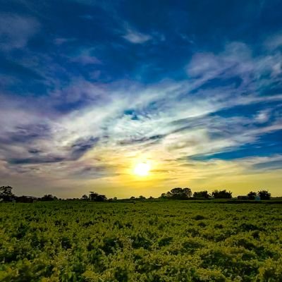 looter13082's profile picture. 