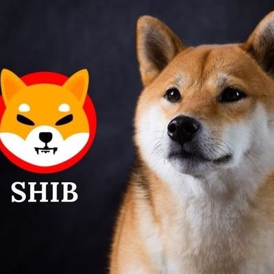 Come & visit my Lovely country!!🇵🇭 🇵🇭 😍🥰
Only SHIB The People's Cryptocurrency 🚀