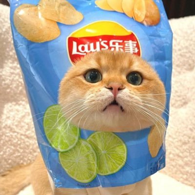 U.Uさんのプロフィール画像