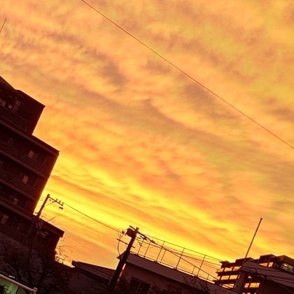 tvyapln_'s profile picture. ここは通しません
迂回先 @lets_goooo_val