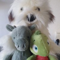 EmotionalPlüsch🐺🐢🐲🦕🦩🐻 und Menschin👩 (@bettilotta) 's Twitter Profile Photo