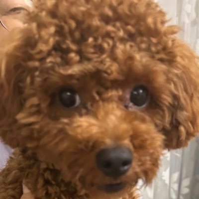 umin0a0's profile picture. うみのあお(23) …Webデザイン勉強中です… Photoshop,studioを使います