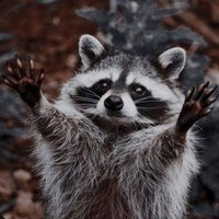 Paula (@paula6795392486) 's Twitter Profile