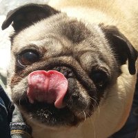 auntie jesus (@jesu70345) 's Twitter Profile Photo