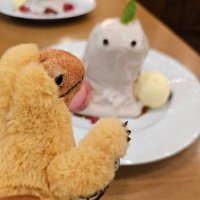 カトウ (@kt_1999_) Twitter profile photo