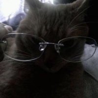 c ✨ (@beysrocketx) 's Twitter Profile Photo