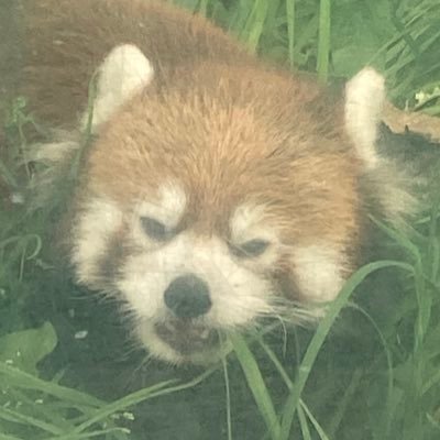 りゅん太🍬さんのプロフィール画像