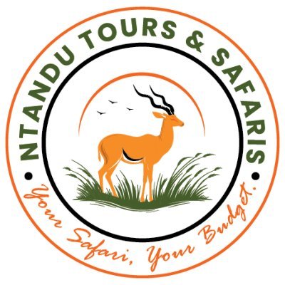 🌍 Tanzania’s Top Safaris | 🦁 Luxury & Affordable Adventures | 🌿 Tailored Experiences, Unmatched Service | 📩 DM for Bookings!