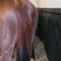 Thoreau Hervé (@herve_thoreau) 's Twitter Profile Photo