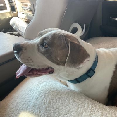 JLyleSTS's profile picture. 