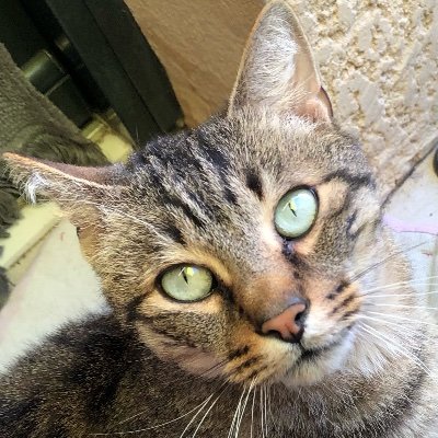 domi_domdomdom's profile picture. 👀