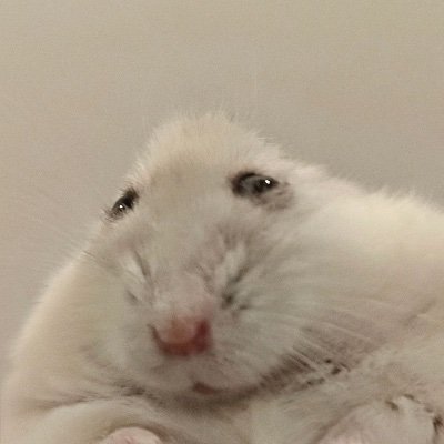 TanweitengTan1's profile picture. 