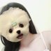 ชานมไข่มุก 🧋 (@_cielooscuro_) Twitter profile photo ชานมไข่มุก 🧋 (@_cielooscuro_) Twitter profile photo