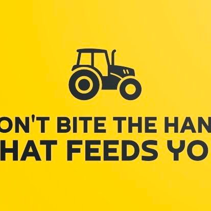 JunePar15419961's profile picture. 