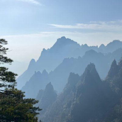 xiaoshideyufu's profile picture. 