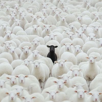 giftmtezuka's profile picture. Never be fearfull